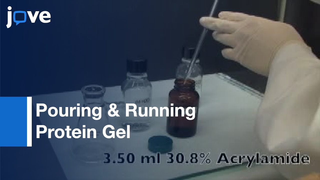 Pouring & Running Protein Gel By Reusing Commercial Cassettes l