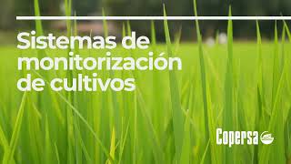 Monitorización De Cultivos Copersa