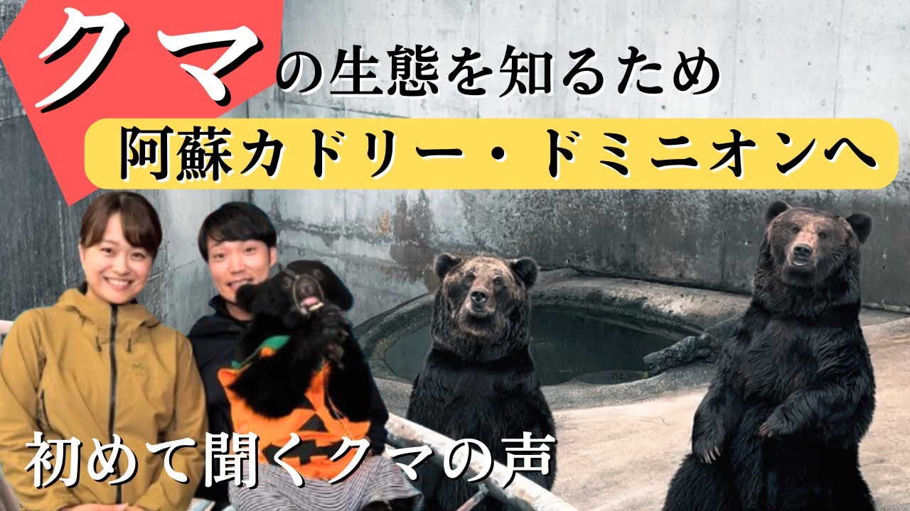 阿蘇観光】初めて聞くクマの鳴き声🐻阿蘇カドリー・ドミニオン - YouTube 阿蘇観光】初めて聞くクマの鳴き声🐻阿蘇カドリー・ドミニオン - YouTube