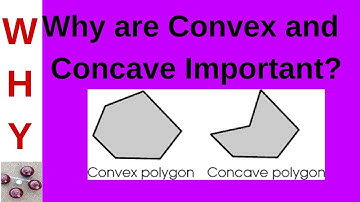 Relevance of Convex and Concave Shapes