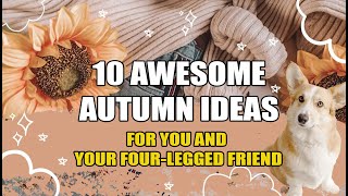 10 Awesome Autumn Ideas For You and Your Four-Legged Friend - Best Fall Ever!