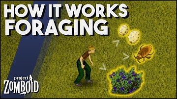 Project Zomboid - How Does Foraging Work? Project Zomboid Foraging Feature Guide & Tips!