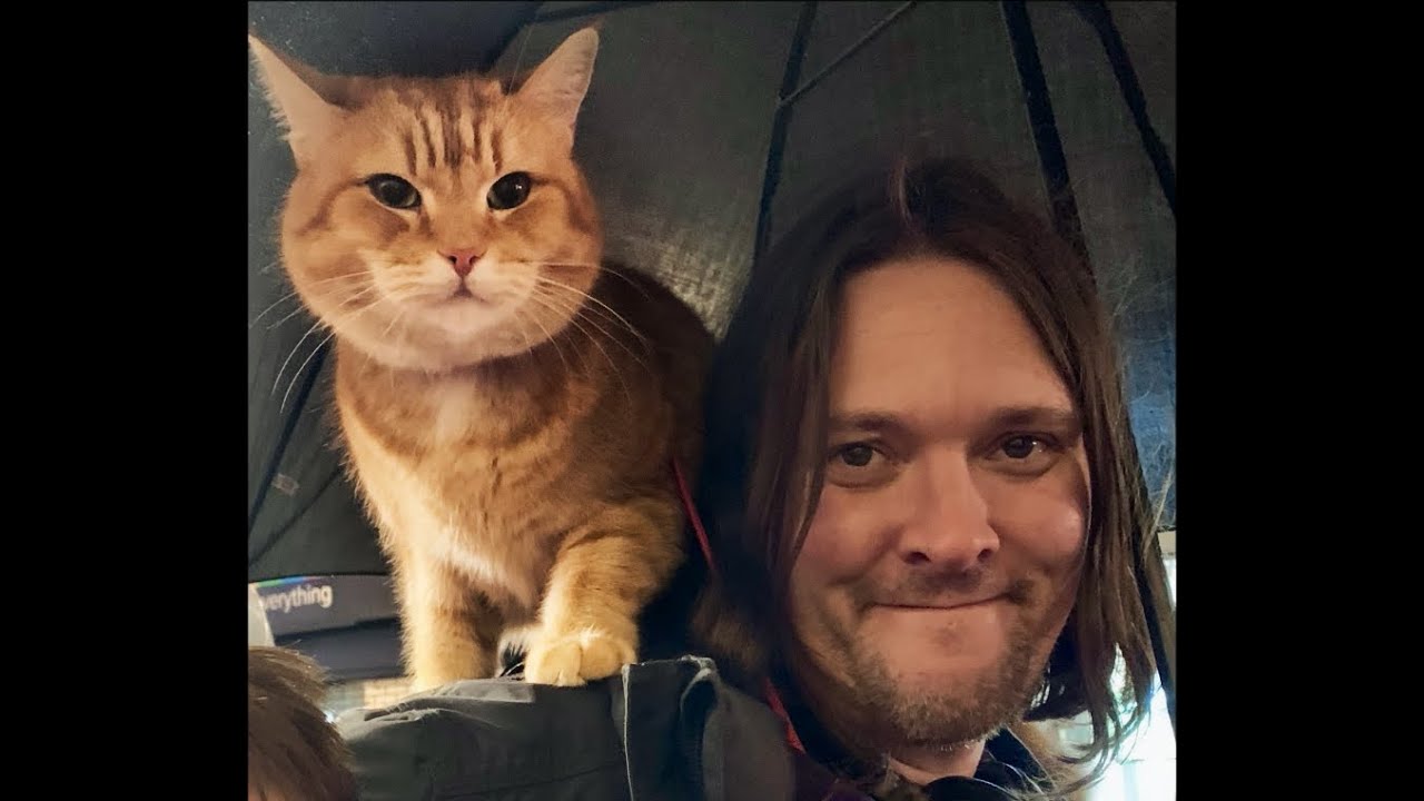 ボブへのバラード A Ballad for BOB ～映画「ボブという名の猫2 幸せ
