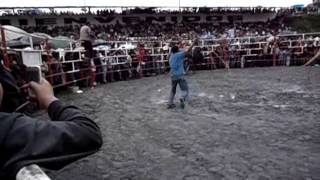 Jaripeo Rancho Los Potreros