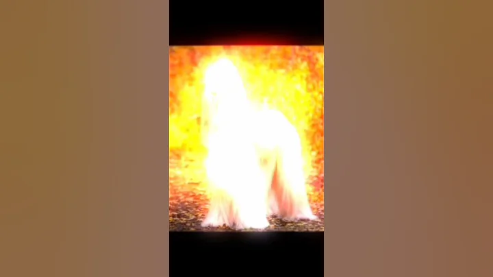 #😍 #❤ #viral #cute #love #shortvideo #dog #fouryou #puppy #beautiful #animals #fouryou #doglover