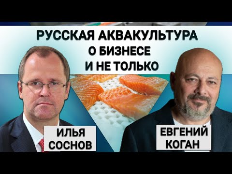 Дела рыбные: гендиректор Русской Аквакультуры о бизнесе и не только.