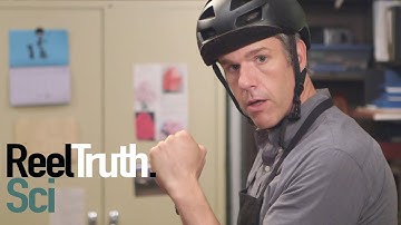 Going Deep with David Rees - How to Get Punched | How To Show | Reel Truth. Science