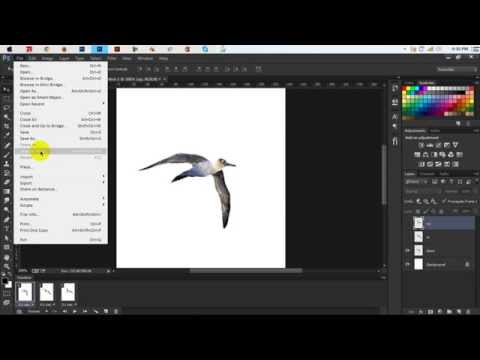 Photoshop Tutorial - How To Create an Animated GIF