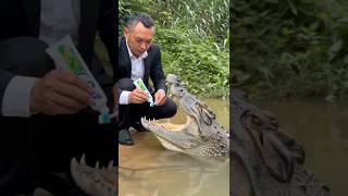 Công việc passtime nhàn hạ #trending #xuhướng #funny #xhhh #haihuoc #casau