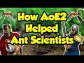 How AoE2 is helping scientists understand ants