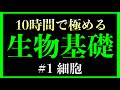 【1時間目】細胞 #生物基礎 (酵素、小胞体、ゴルジ体、リボソーム、リソソーム、原核生物、真核生物)