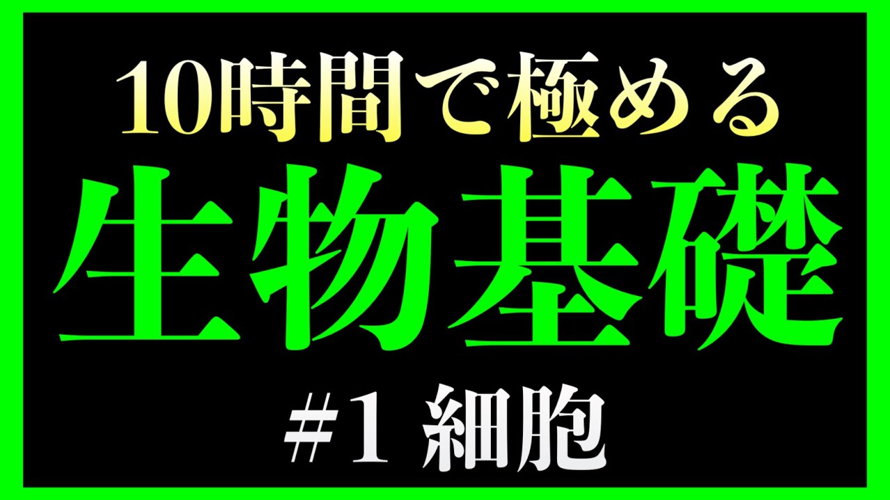【1時間目】細胞　#生物基礎　（酵素、小胞体、ゴルジ体、リボソーム、リソソーム、原核生物、真核生物）
