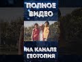 Семья бежала от преследования и купила лестницу