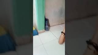 Download Lagu pertarungan wong Tegal kunir menegangkan MP3