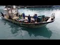 Super Crazy! Fixed Set Net Fishery's Wild Net Pull, Hundreds of Kilograms of Bonito Army Emerge, It'