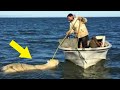They See A Polar Bear Struggling In The Water  When They Realize Why &mdash; Watch What They Do!