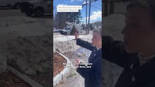 Wind knocks out power in parts of New Hampshire