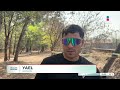 Los daños del Bosque de Los Colomos después del incendio | Noticias GDL