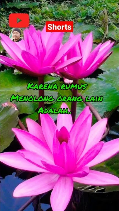 Story Motivasi Suwami || Motivasi Hidup Rumah Tangga