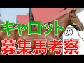 【今年も凄い】キャロット募集予定馬が発表!シーザリオの仔など豪華すぎるラインナップに驚愕。【一口馬主】