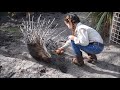 African Porcupine Enrichment