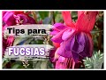 Tips de Otoño 🍂 para PENDIENTES DE LA REINA 🌸🍃🌺/ ( Principiantes )