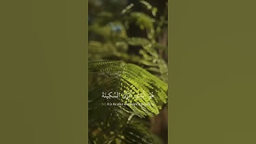 حالات واتساب القرآن الكريم القارئ عبد الرحمن مسعد