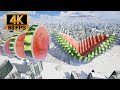 How to cut a giant watermelon into dominoes 2