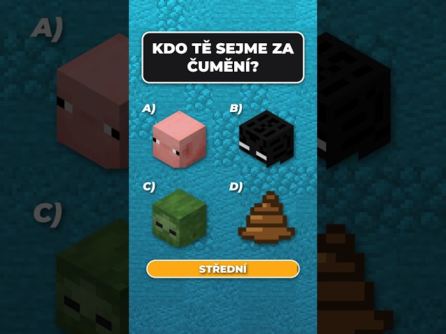 Minecraft Kvíz Ep12
