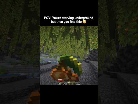 Minecraft Meme