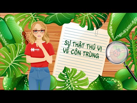 Video: Sự thật về côn trùng: 3 lý do chúng ta cần chúng