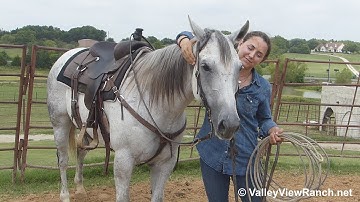 SP Lady Grace***For info, price, etc., go to our website: ValleyViewRanch.net***