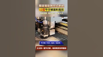 Automated CNC Cutter: Precision-Cutting 12 Layers of Denim Simultaneously #manufacturing #machine