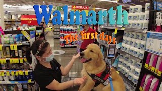 Walmart The First days by In Memory of Cary Gamble. 28 views 1 year ago 8 minutes, 44 seconds