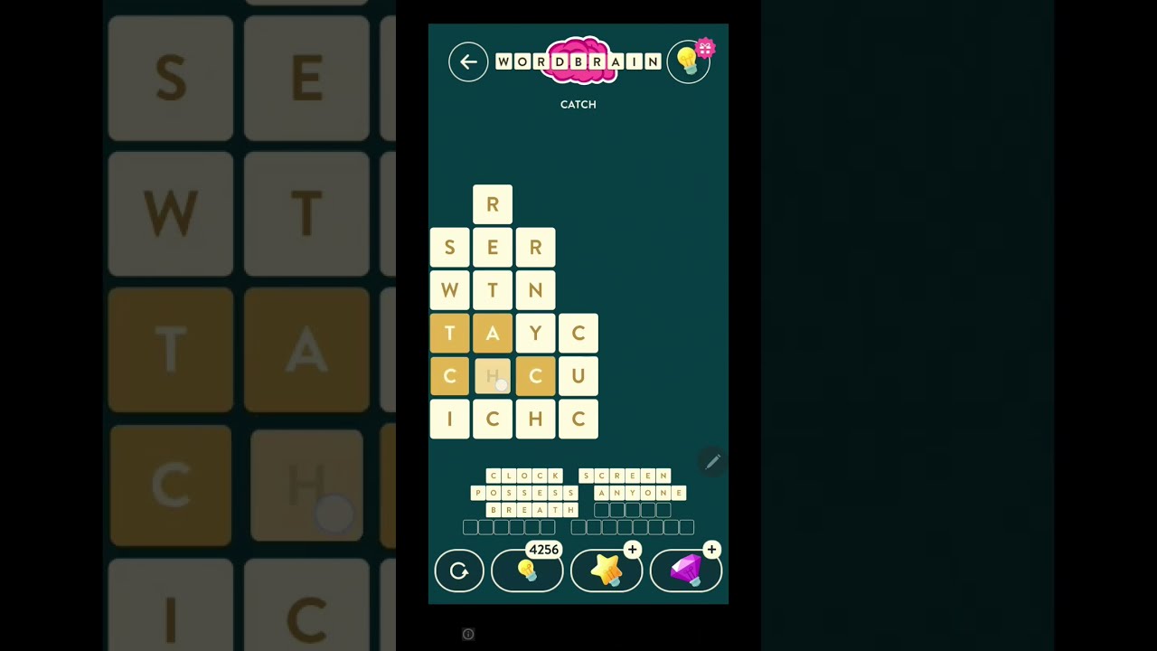  WordBrain Daily Puzzle Solved August 3 2025 Full Walkthrough