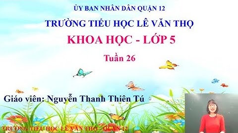 Trường Tiểu học Lê Văn Thọ - Khoa học Lớp 5 - Tuần 26 - Nguyễn Thanh Thiên Tú