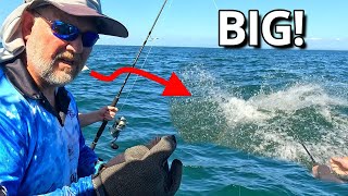 Catching a MONSTER in Moreton Bay!