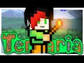 GIOCO PER LA PRIMA VOLTA a TERRARIA