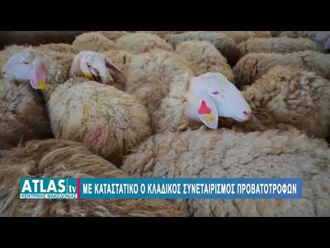 ΜΕ ΚΑΤΑΣΤΑΤΙΚΟ Ο