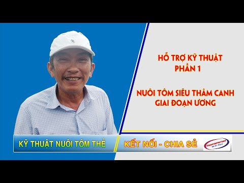 Video: Kỹ Thuật Ba Giai đoạn