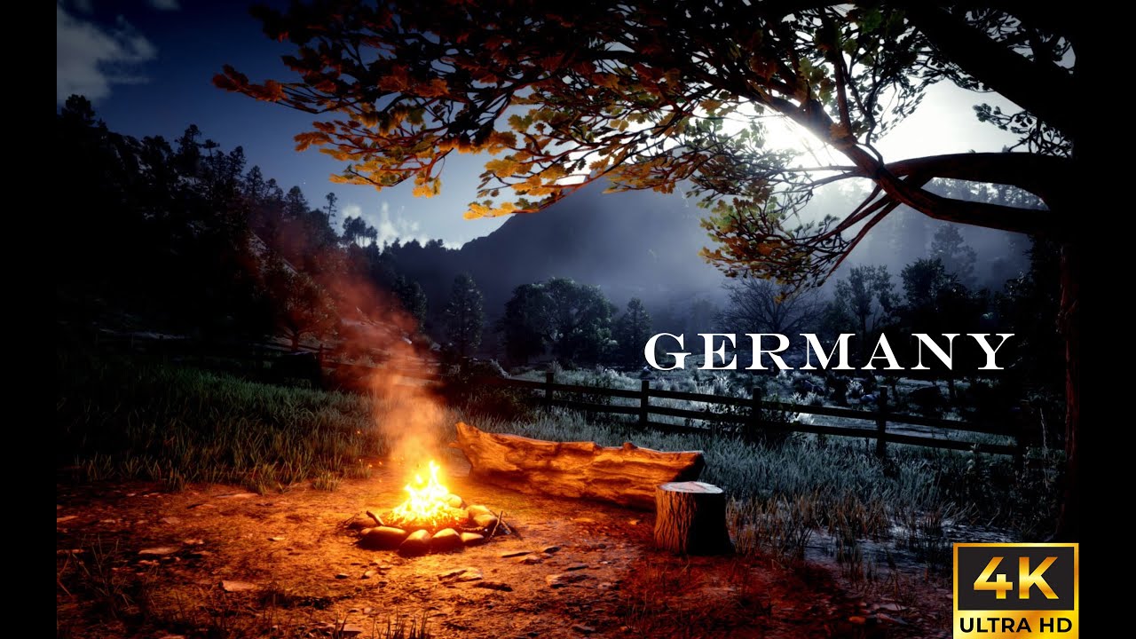 4K Relaxation Music - Fire in Forest - YouTube