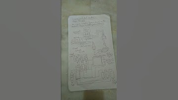 Common rail fuel system (Sulzer RT-flex)