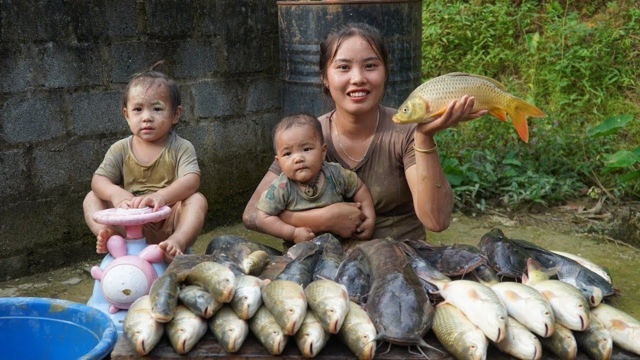 Single mother Harvest the ginger garden and bring it to the market to ...