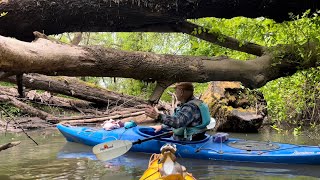 Adventure in Chehalem Creek by javawriter 21 views 11 days ago 3 minutes, 36 seconds