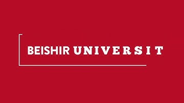 MILESTONE: CUSTOM VIEWS