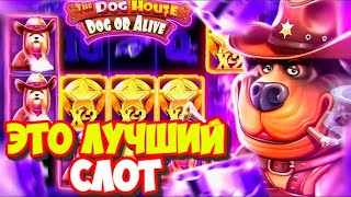:     THE DOG HOUSE DOG OR ALIVE /    MAX BET /  