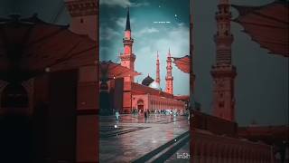 Surah nuh Beautiful Quran Recitation#surahnuh #love #beautiful #egzonibrahimi #quranrecitation