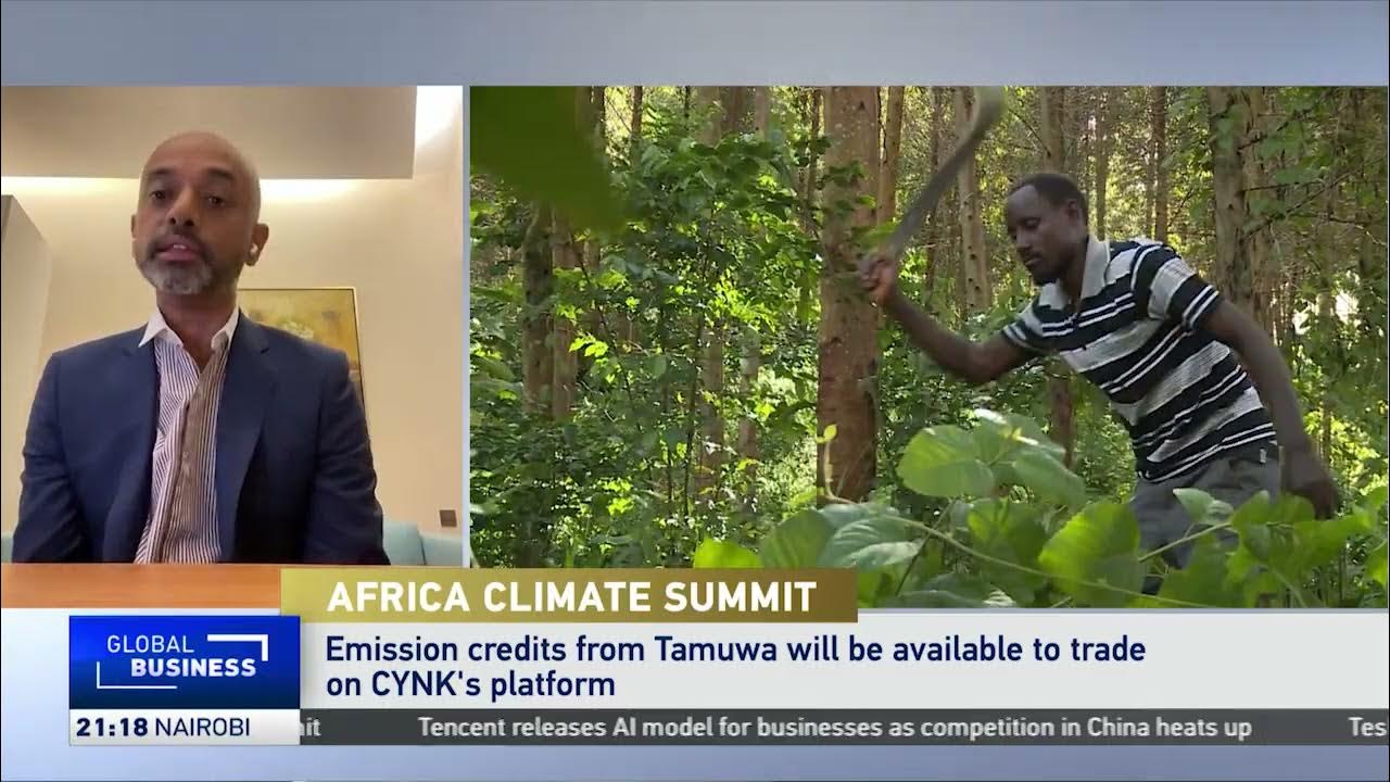 Kenya’s CYNK announces carbon forward trade of two million credits