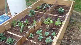 Organic Urban Garden