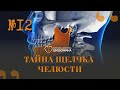 Гнатология с  А.Е. Лезгишвили. ПОДКАСТ &quot;Хорошая медицина&quot; с доктором Шишониным